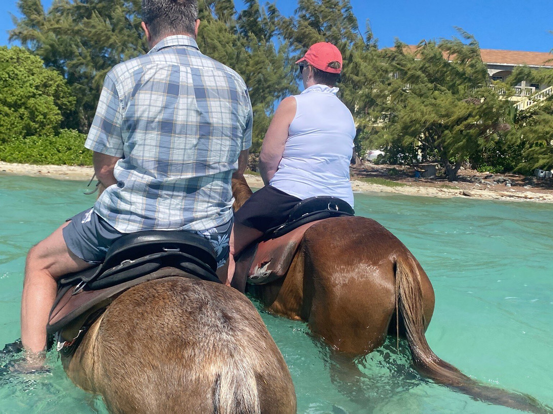 Heritage Tours & Horseback Riding-普罗维登西亚莱斯必去景点