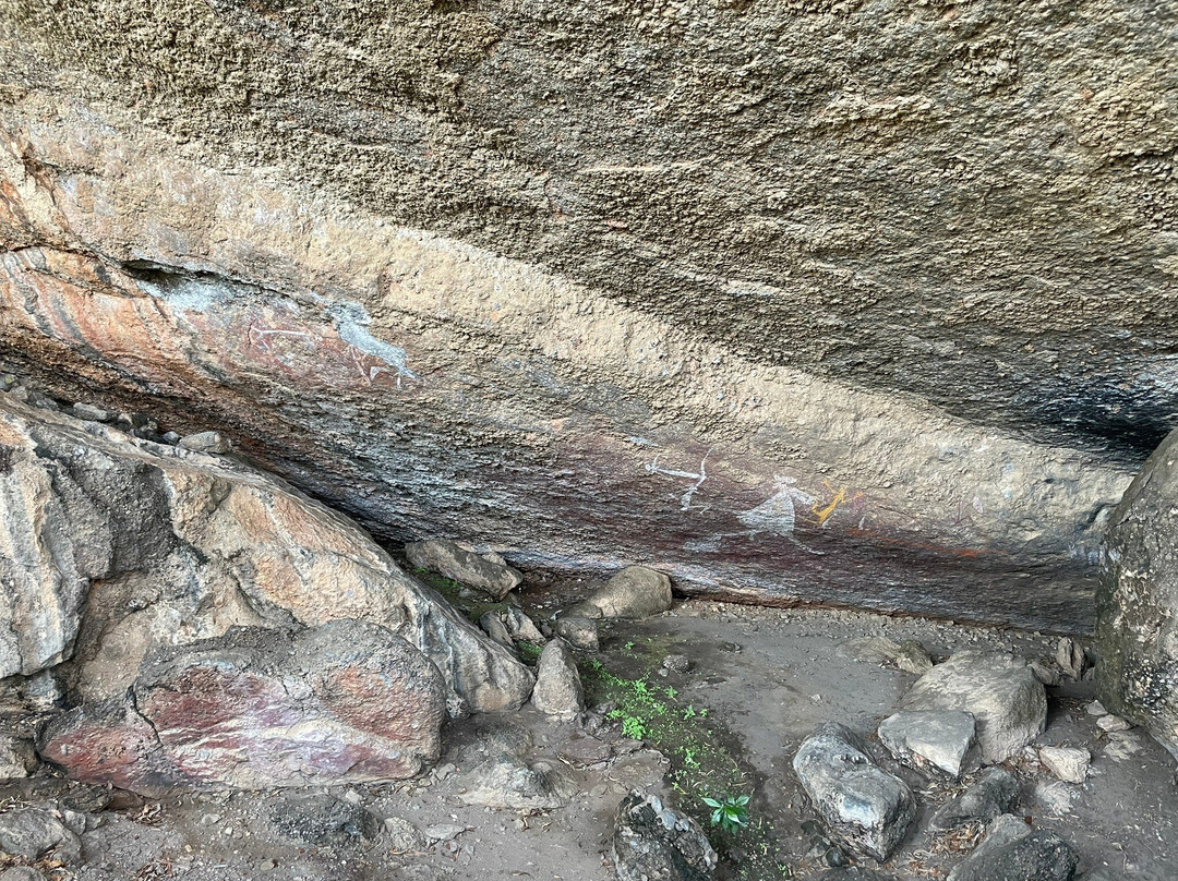 Kakadu National park景点图片