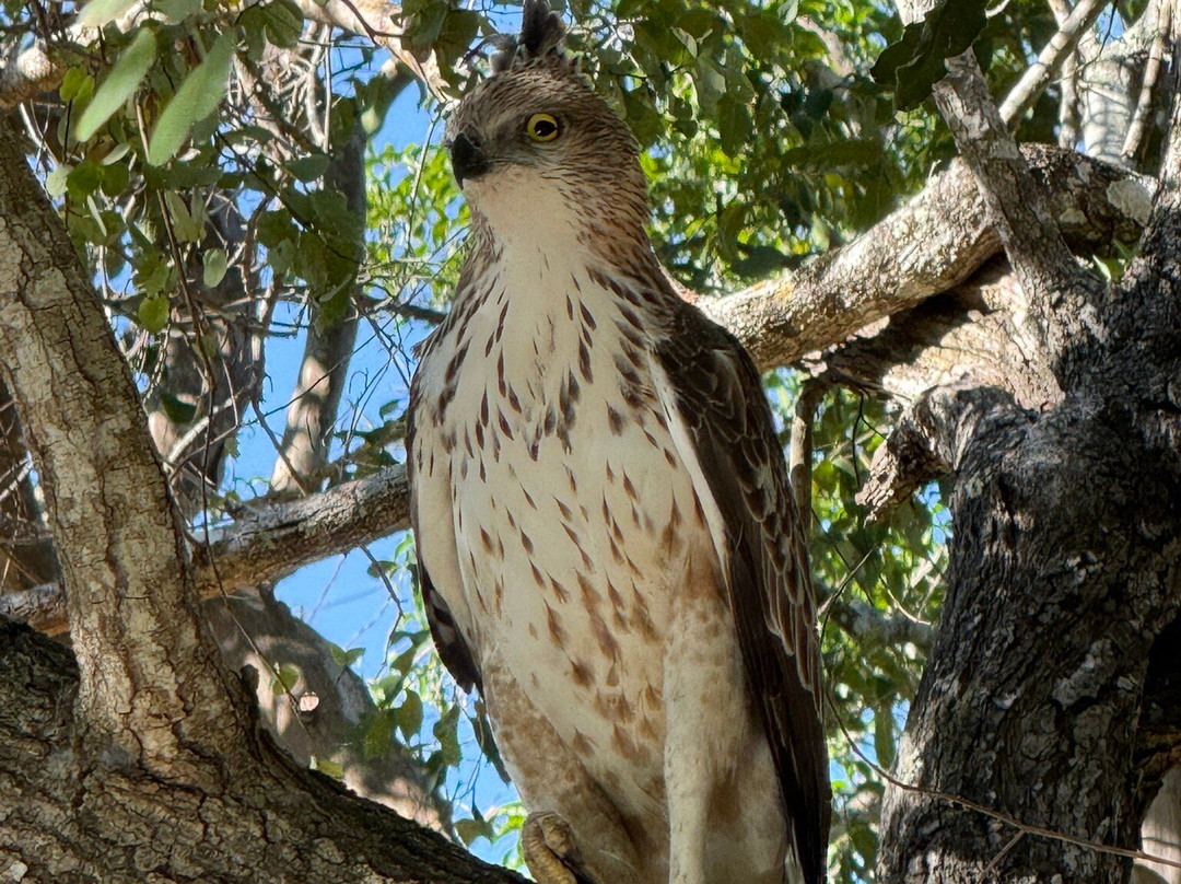 Fernando Tours-希克杜沃必去景点