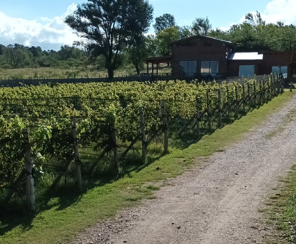 Champagnera San Lorenzo景点图片