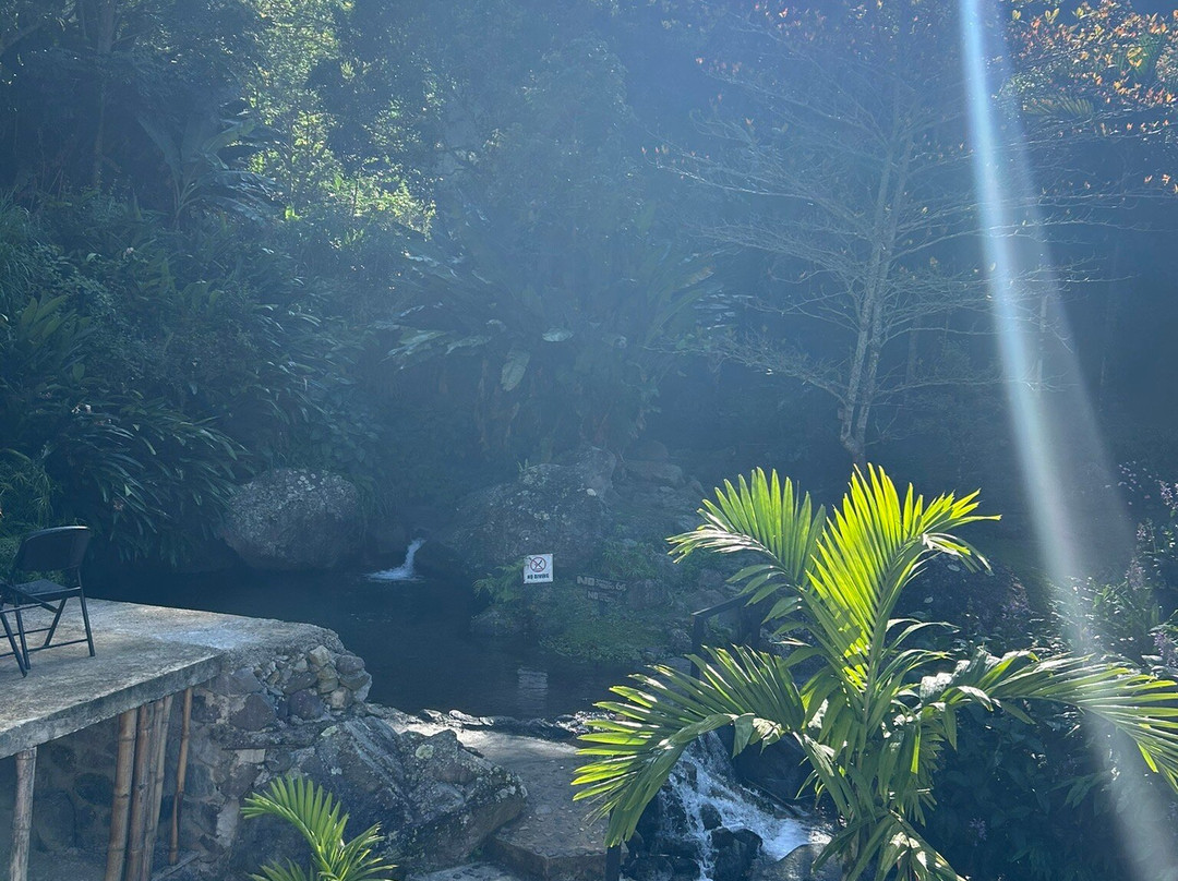 Rafjam's Bed & Breakfast主图