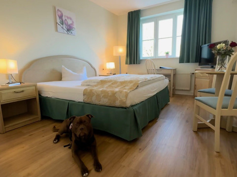 艾姆斯阿尔特斯卡斯诺酒店主图