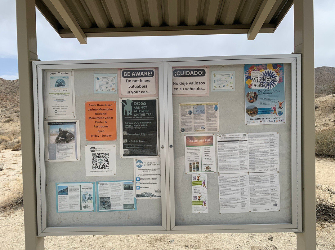 Randall Henderson Loop Trail-棕榈沙漠必去景点