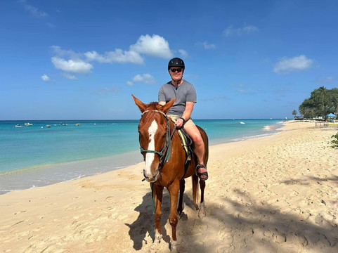 Five Gaits Equestrian Center-布里奇顿必去景点