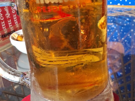 Dickens Cocktail Bar-科斯塔特吉塞必去景点