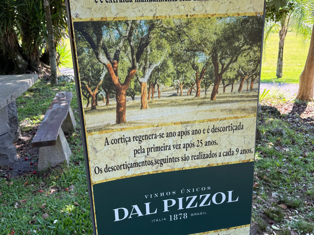 Dal Pizzol Vinhos Únicos景点图片
