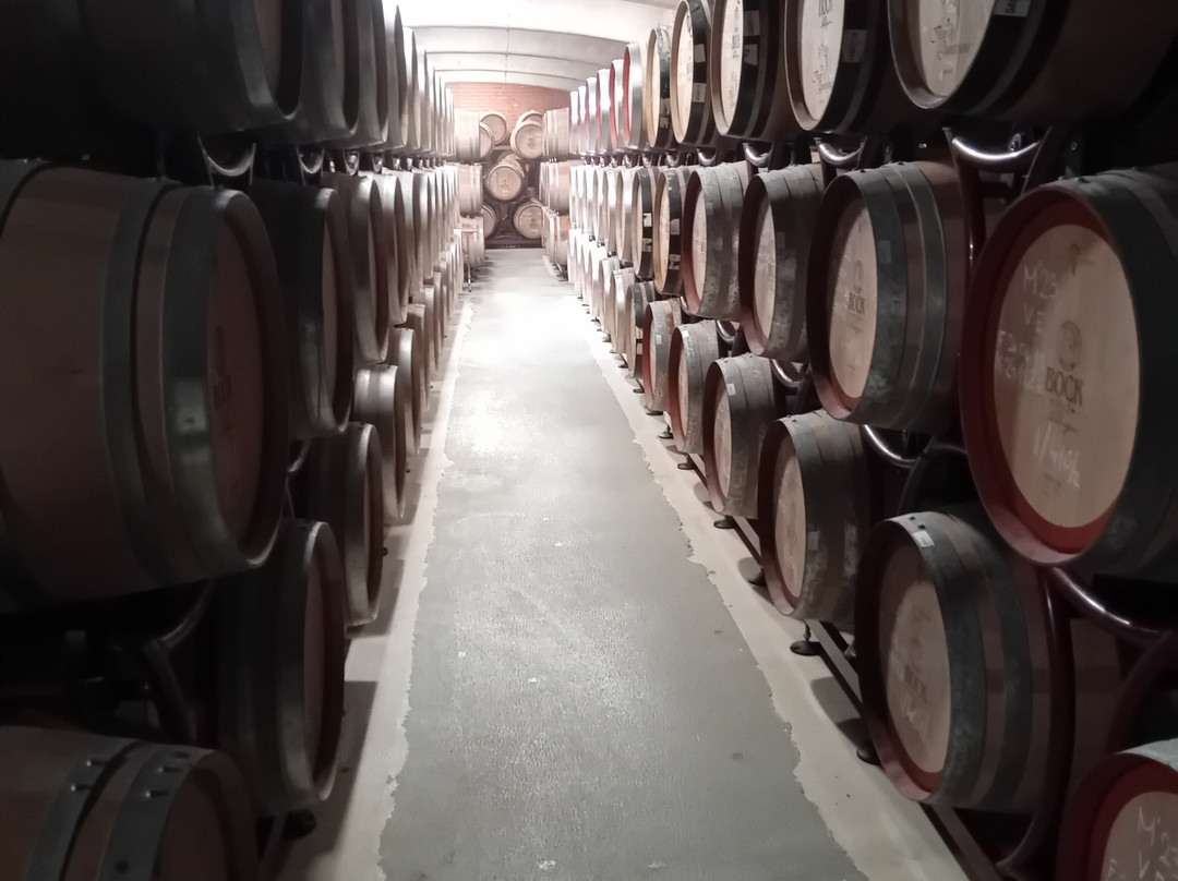 博克艾尔米塔什酒店主图