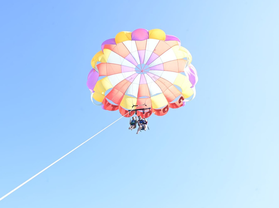 Premium Parasail Jamaica景点图片