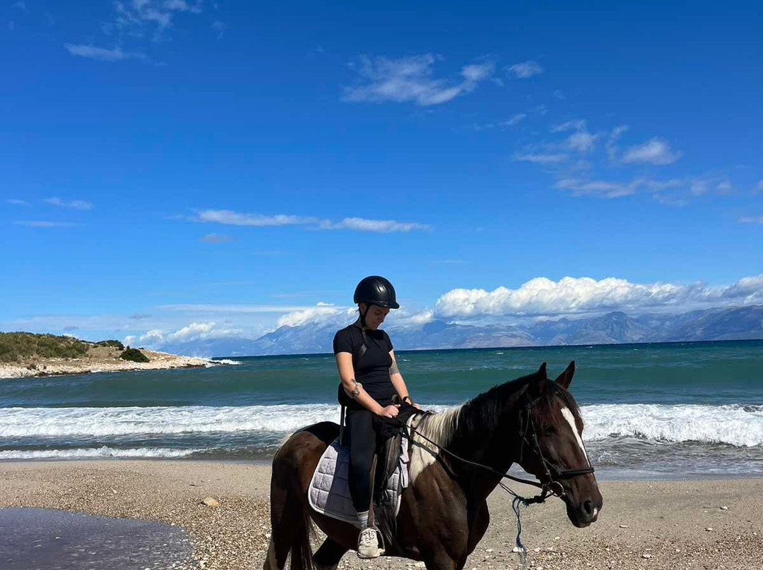 North Corfu Horses-Peritheia必去景点