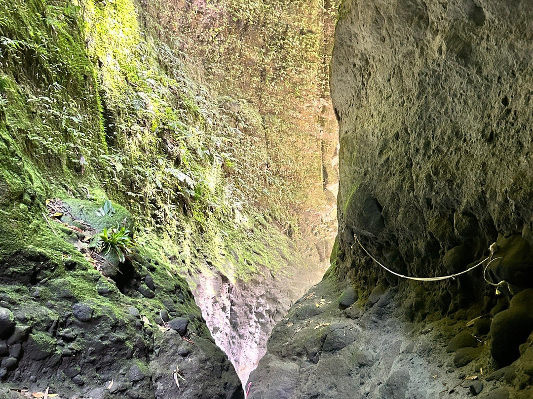 Les Gorges de la Falaise-马提尼克必去景点