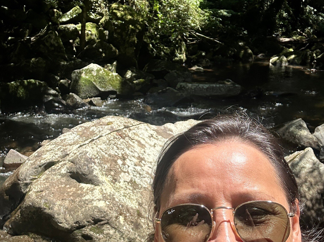 Cachoeira Do Vacariano!景点图片