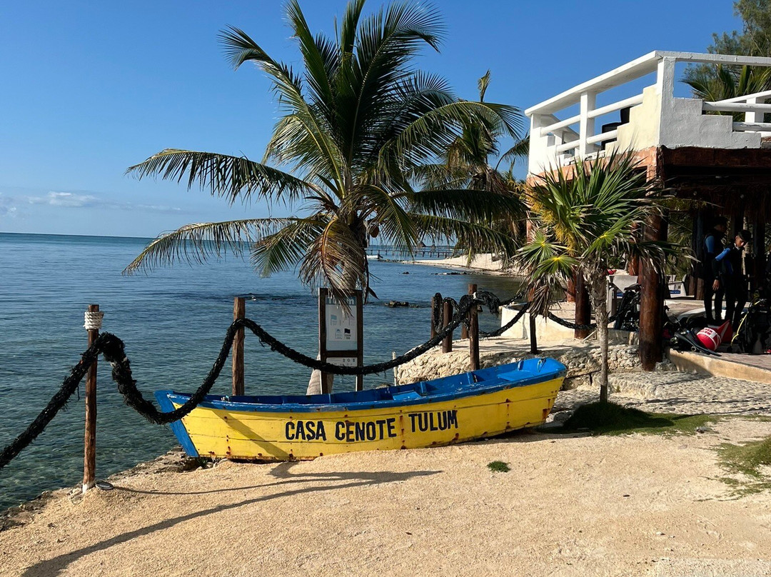 Casa Cenote Hotel主图