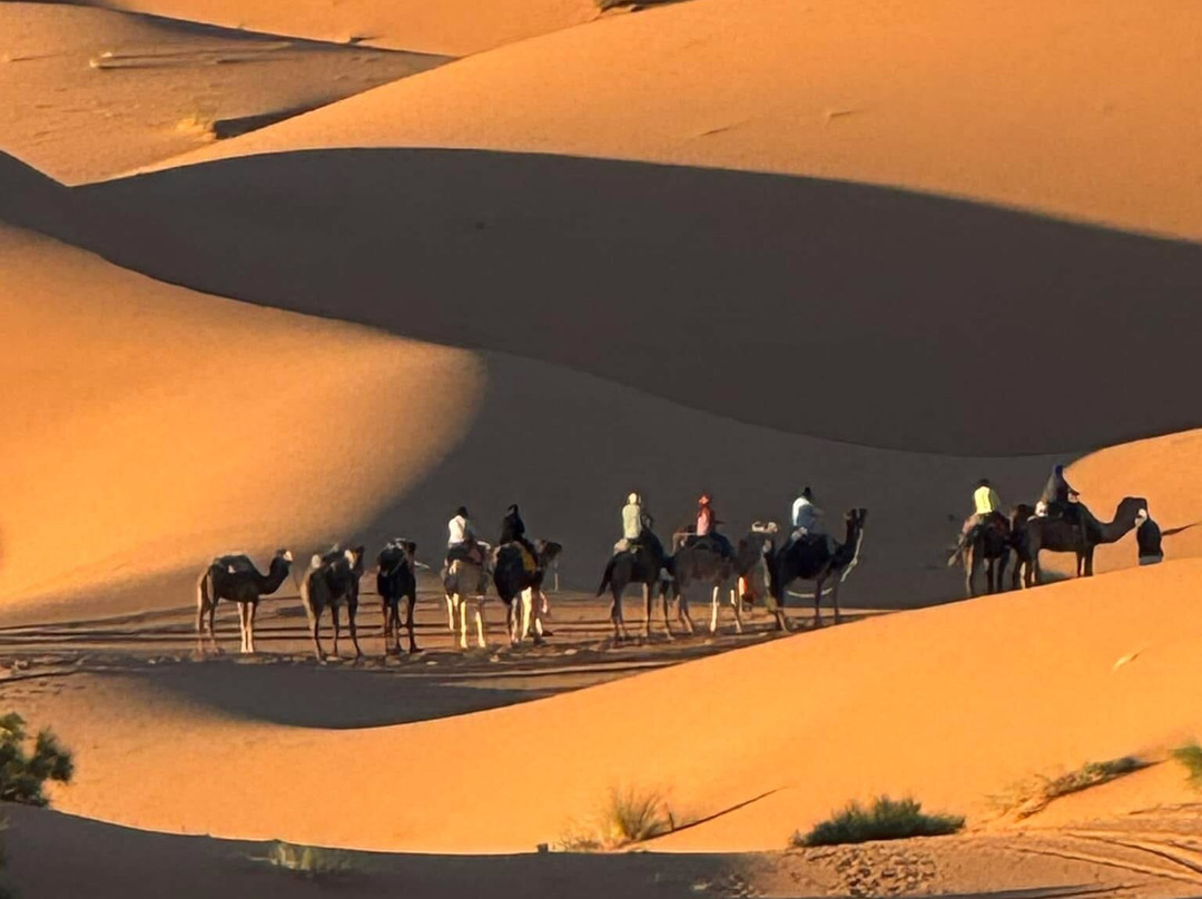 Itran Royal Camp主图