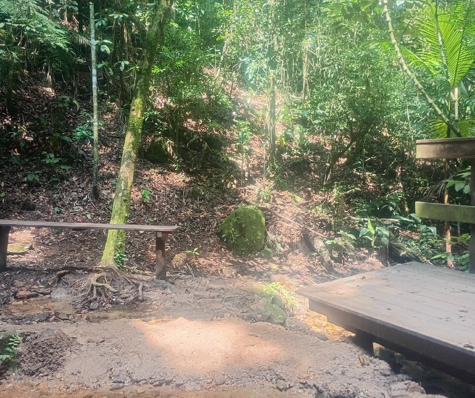 Parque Estadual Cantareira - Núcleo Cabuçu-瓜鲁柳斯必去景点