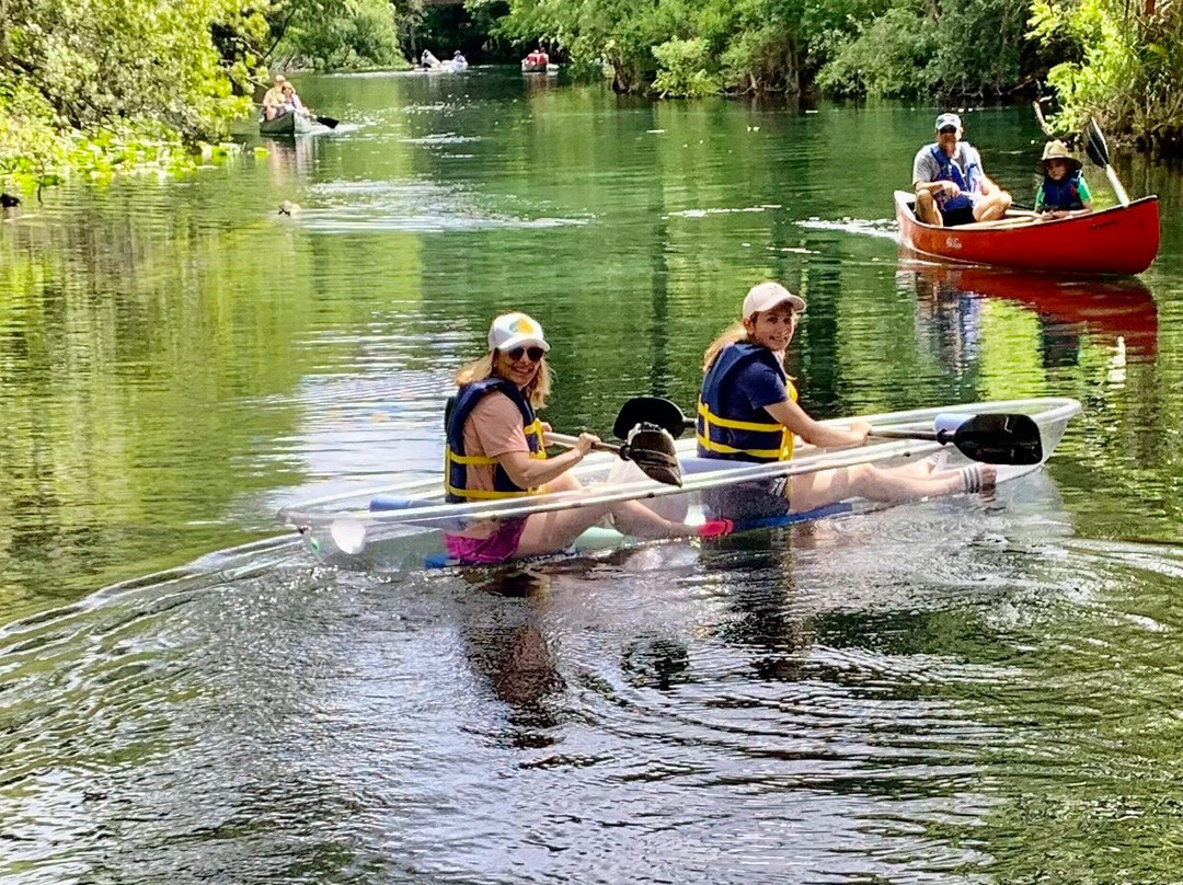 Clear Canoeing-Silver Springs必去景点