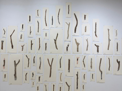 Sapar Contemporary Art Gallery-纽约市必去景点