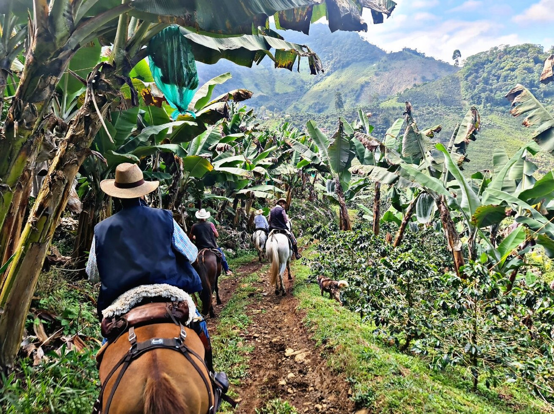 Valle Verde Horse Riding景点图片