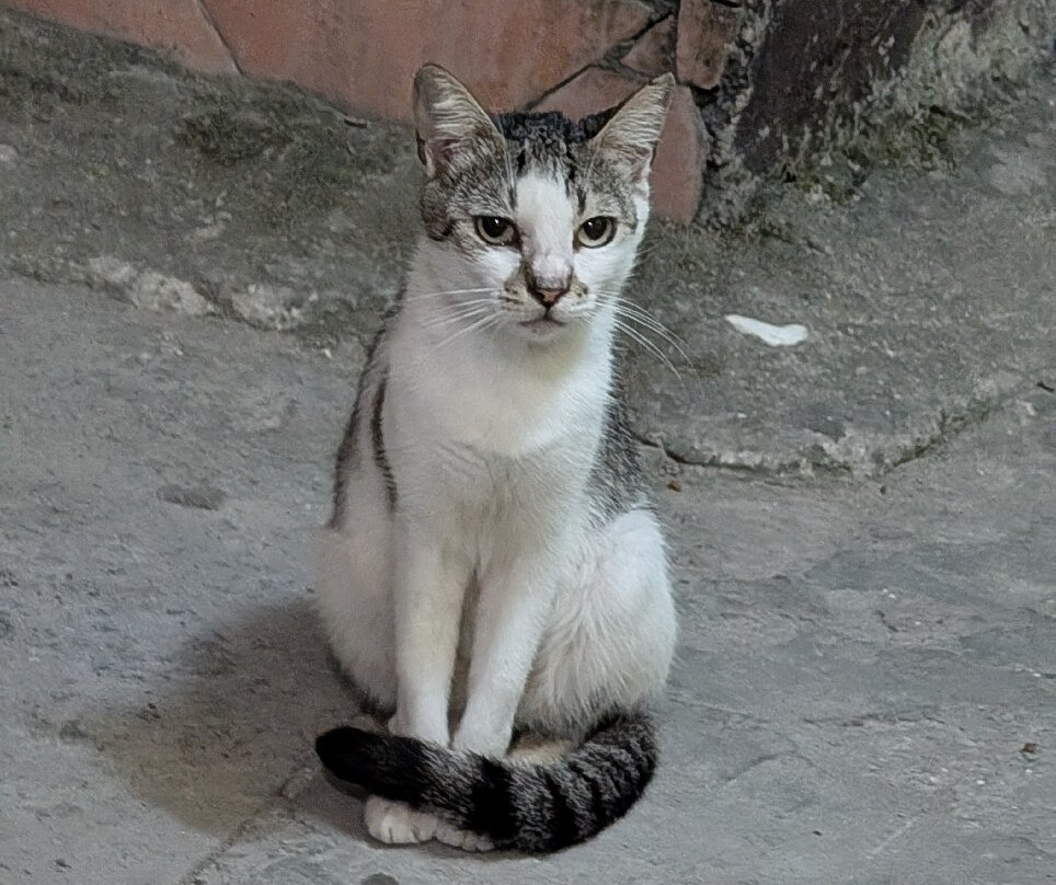 TML One Love Bar-Holetown必去景点