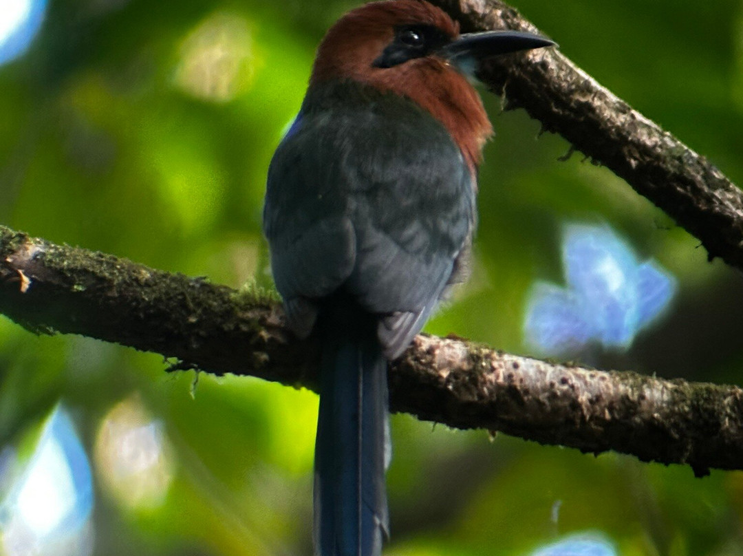 Fayla Tours Costa Rica-萨迪纳尔必去景点