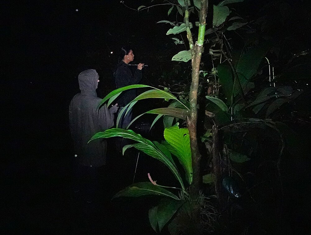 Tapirs Home-Upala必去景点