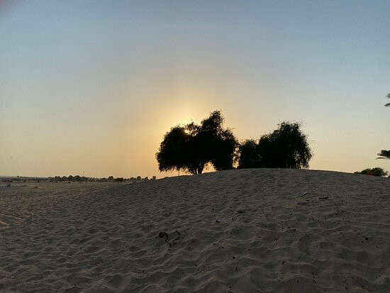 巴布铝沙姆斯沙漠度假村主图