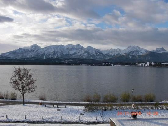 Hotel Gastehauser Hartung主图