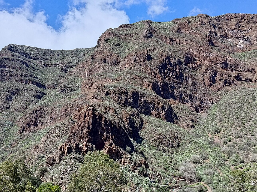 Barranco de Guayadeque景点图片