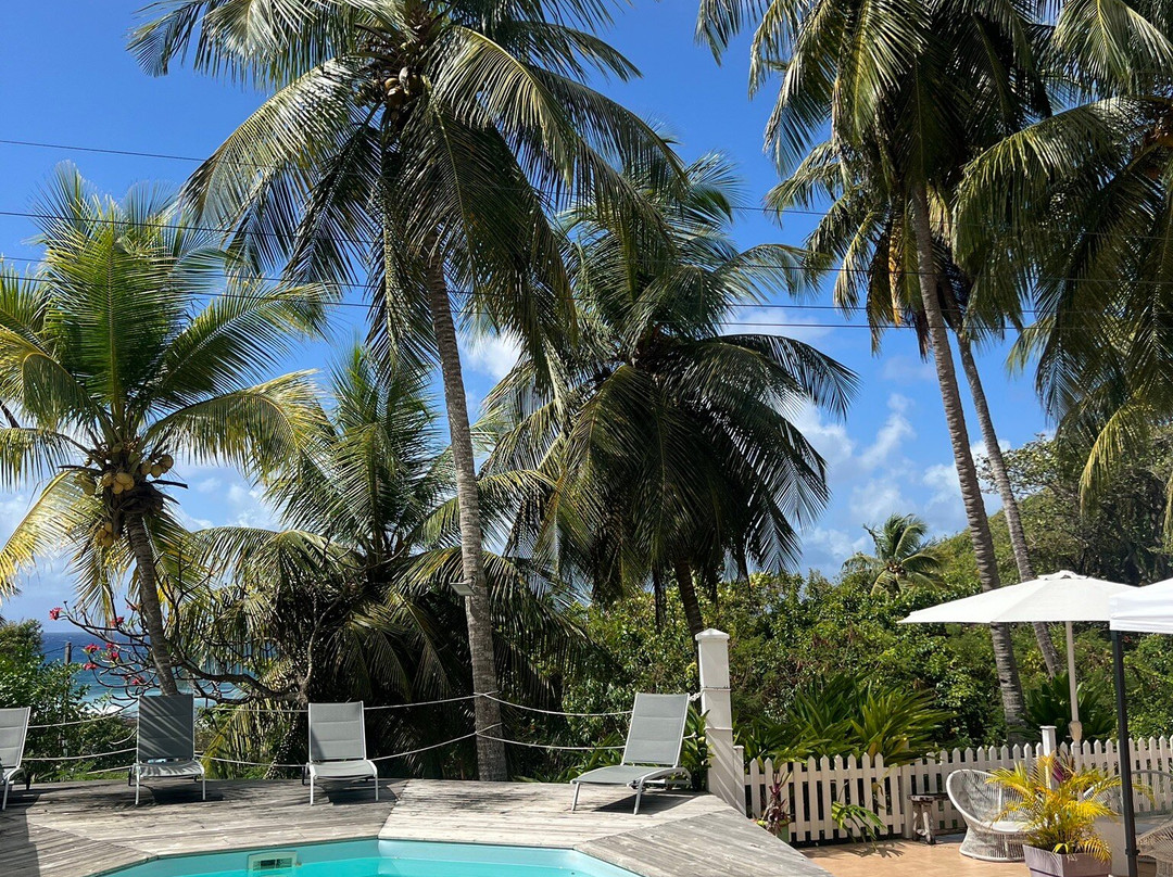 Le M Hotel Marie Galante主图