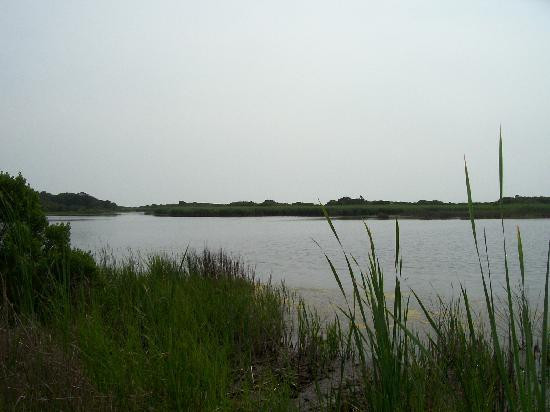 Mansfield Plantation主图