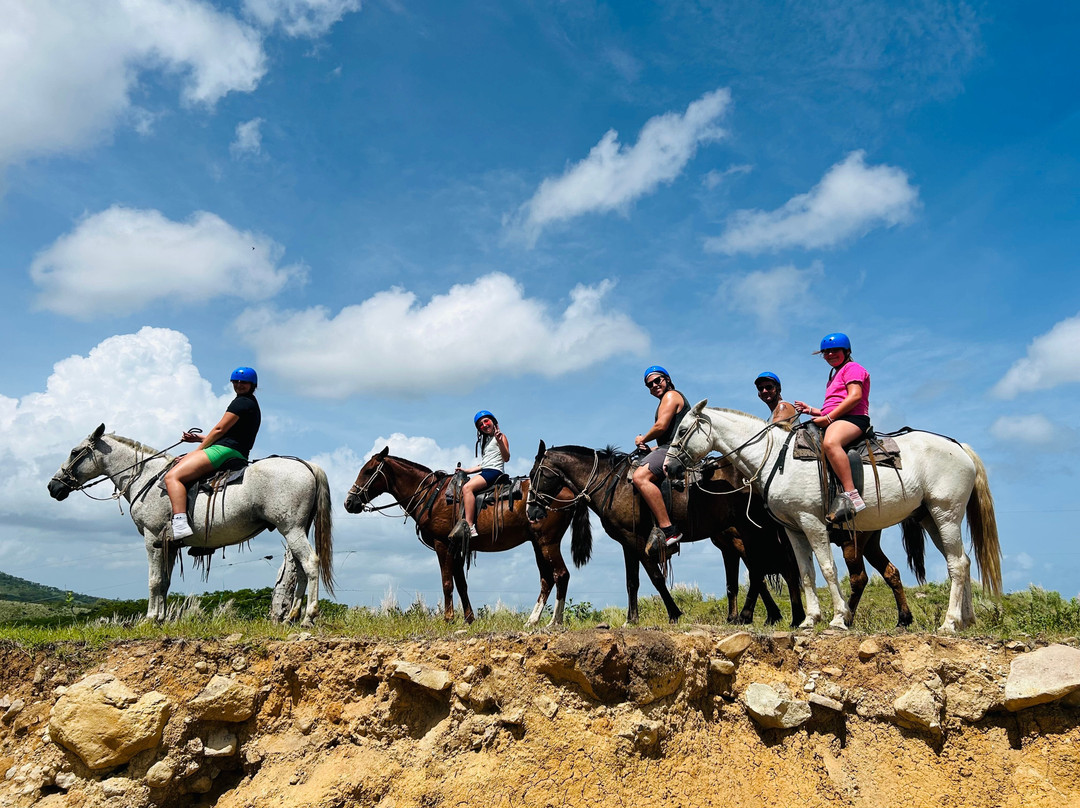 Hacienda El Cenizaro Tours & Adventures景点图片