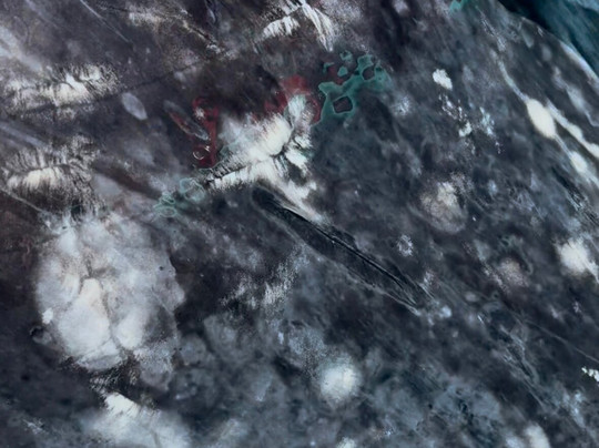 Baja Expeditions-拉巴斯必去景点