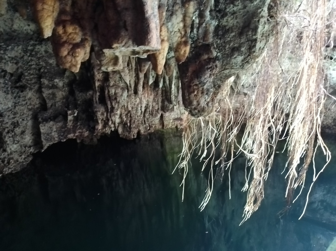 Cenote 7 Bocas-从莫雷洛斯港必去景点