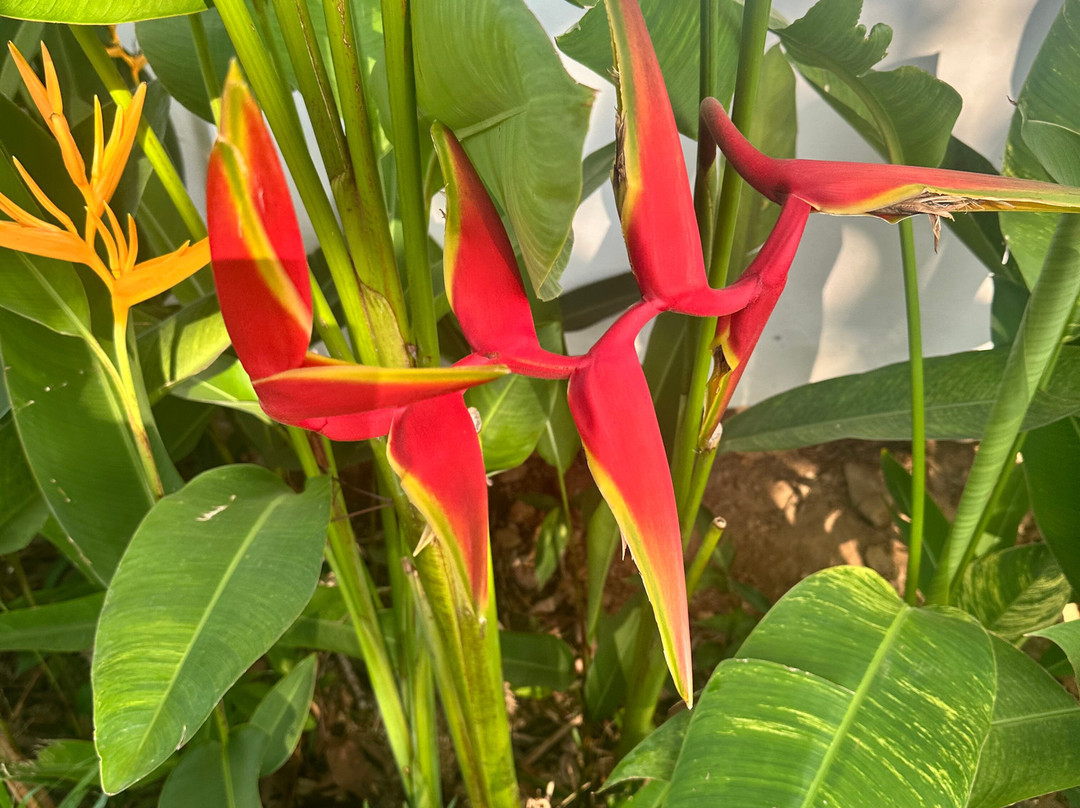 Horizon Beach Resort Koh Jum主图