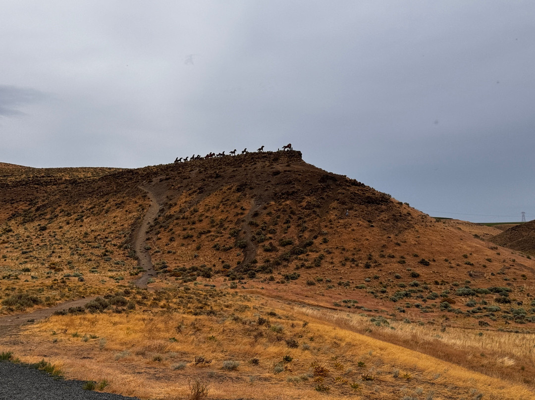 Wild Horse Monument景点图片