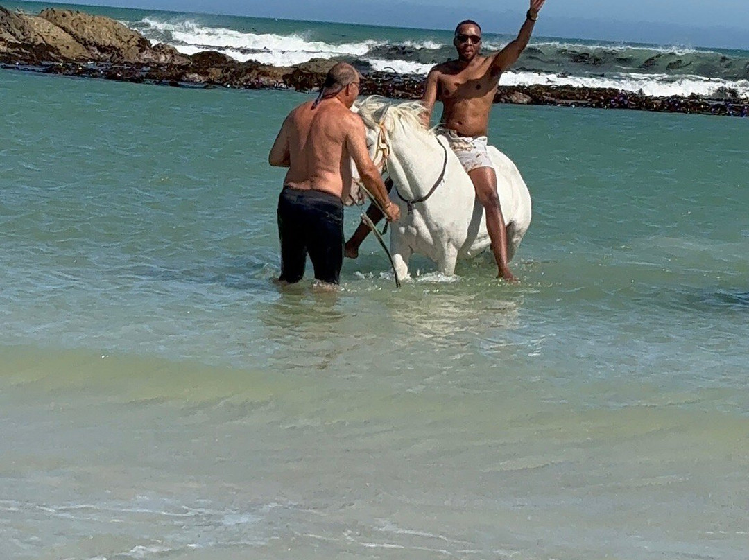 Gansbaai & Pearly Beach Horse Trails-干斯拜必去景点
