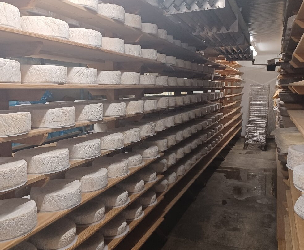 Cheese Tours at Sussex High Weald Dairy景点图片