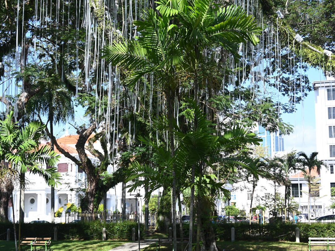 Penang Municipal Park-乔治城必去景点