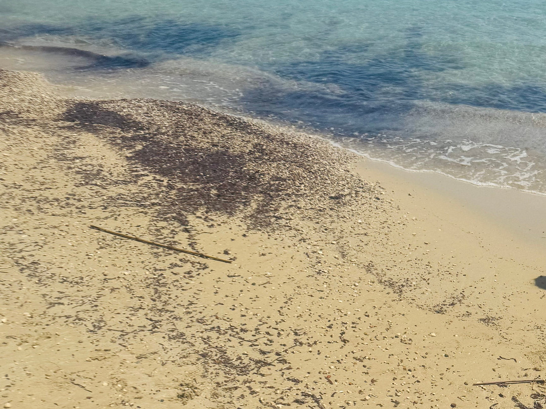 Zephyros Travel-库萨达斯必去景点