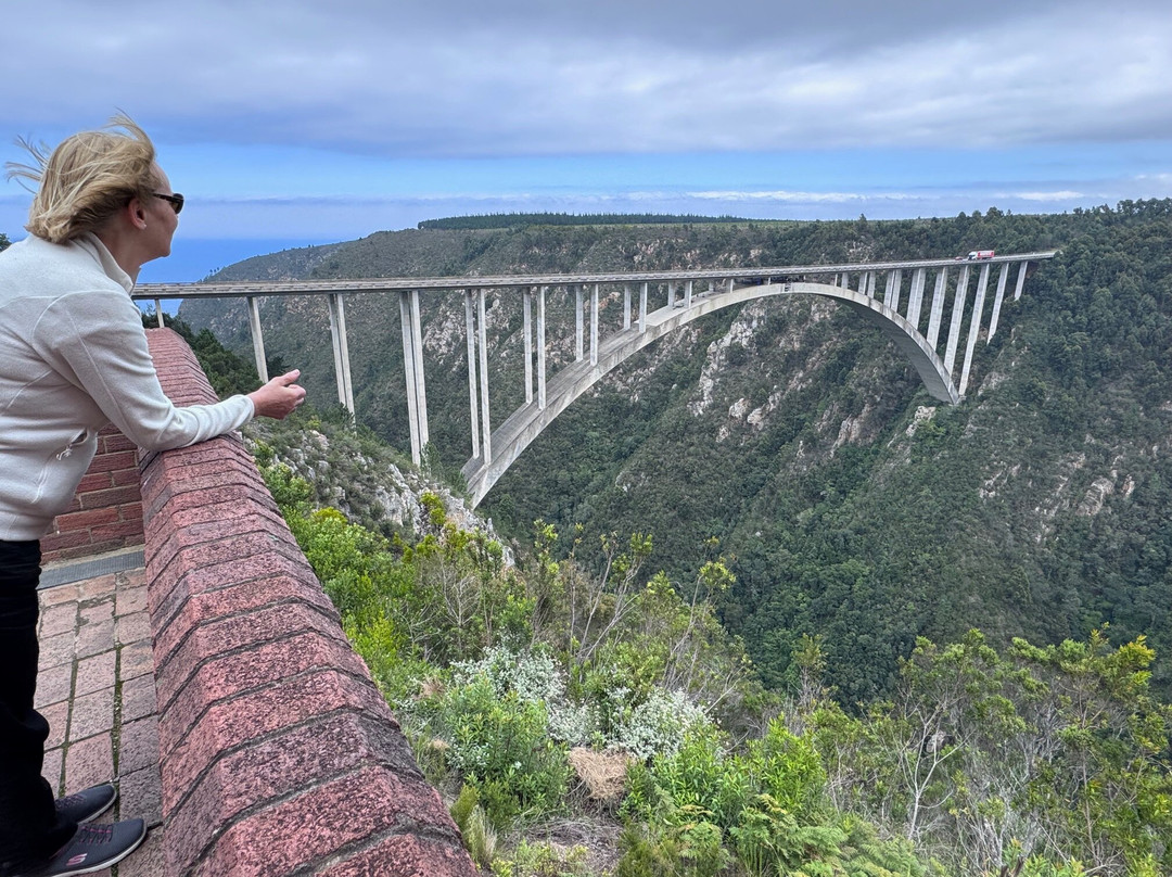 Cape Scenic Tours景点图片