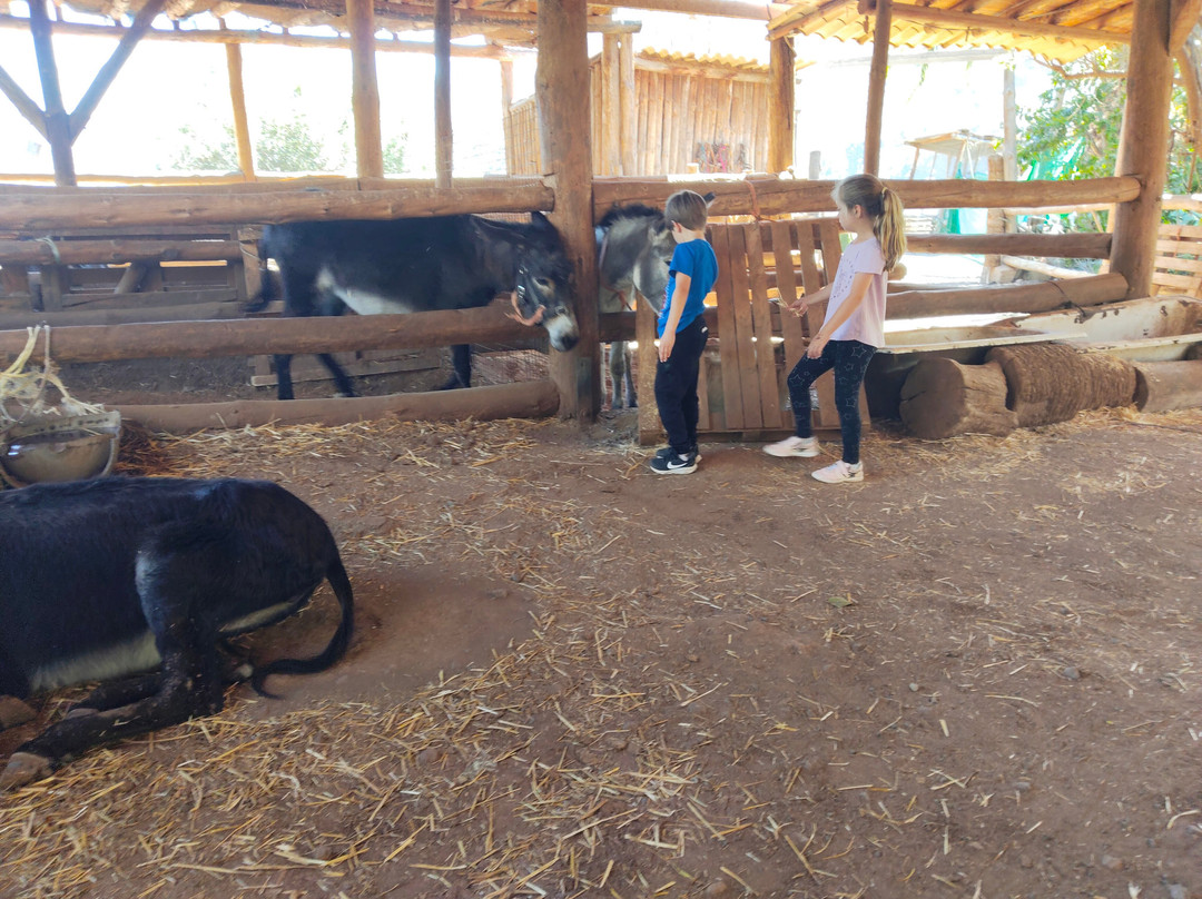 Burro Safari Las Tirajanas-大加那利岛拉斯帕尔马斯必去景点