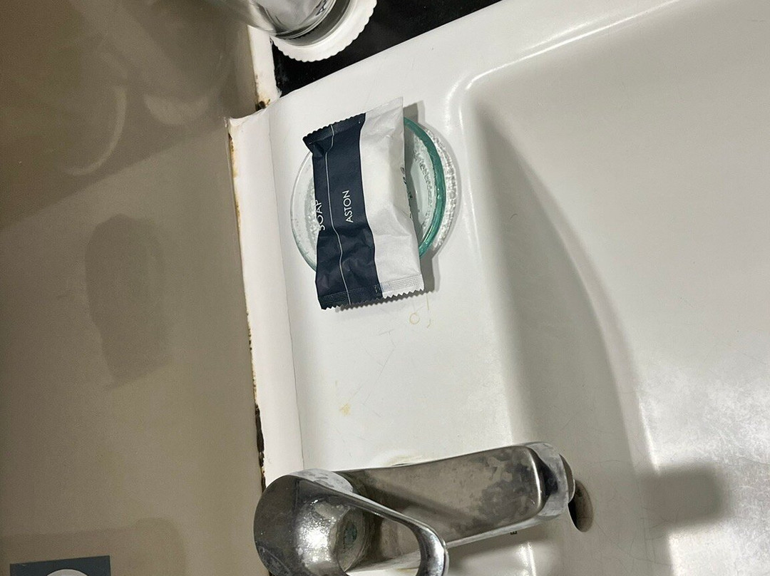 阿斯顿登帕萨会议中心酒店主图