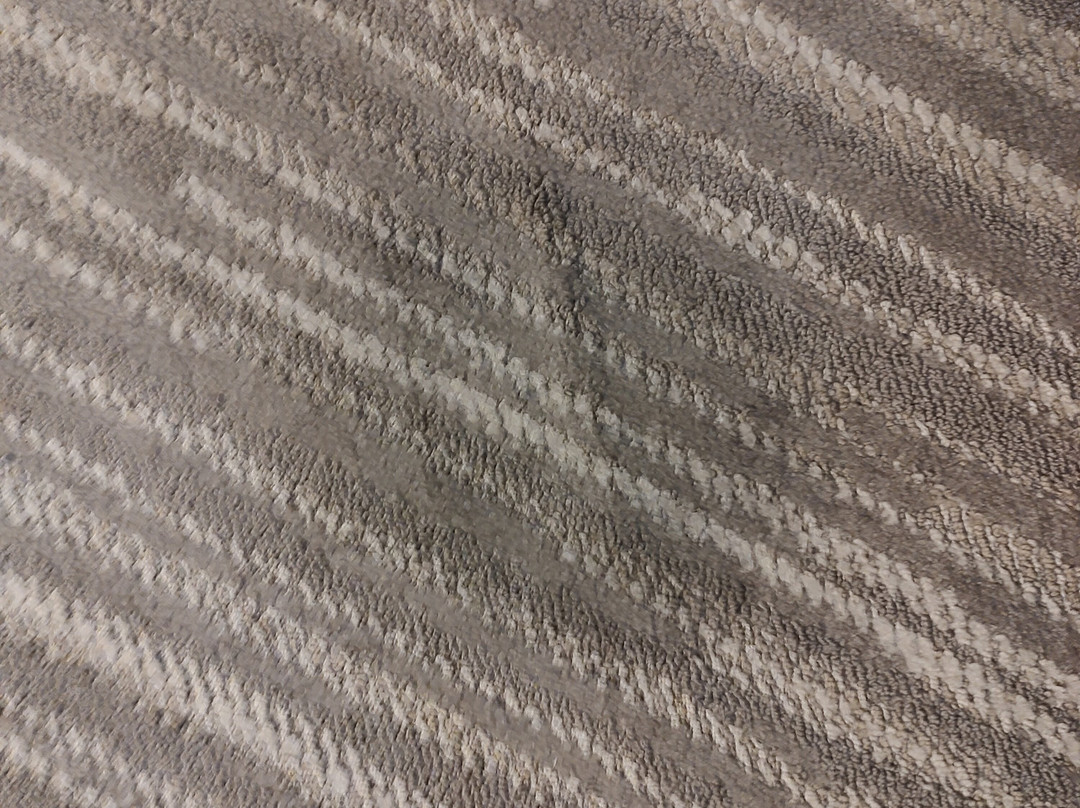 Hyatt Place Baltimore/Bwi Airport主图