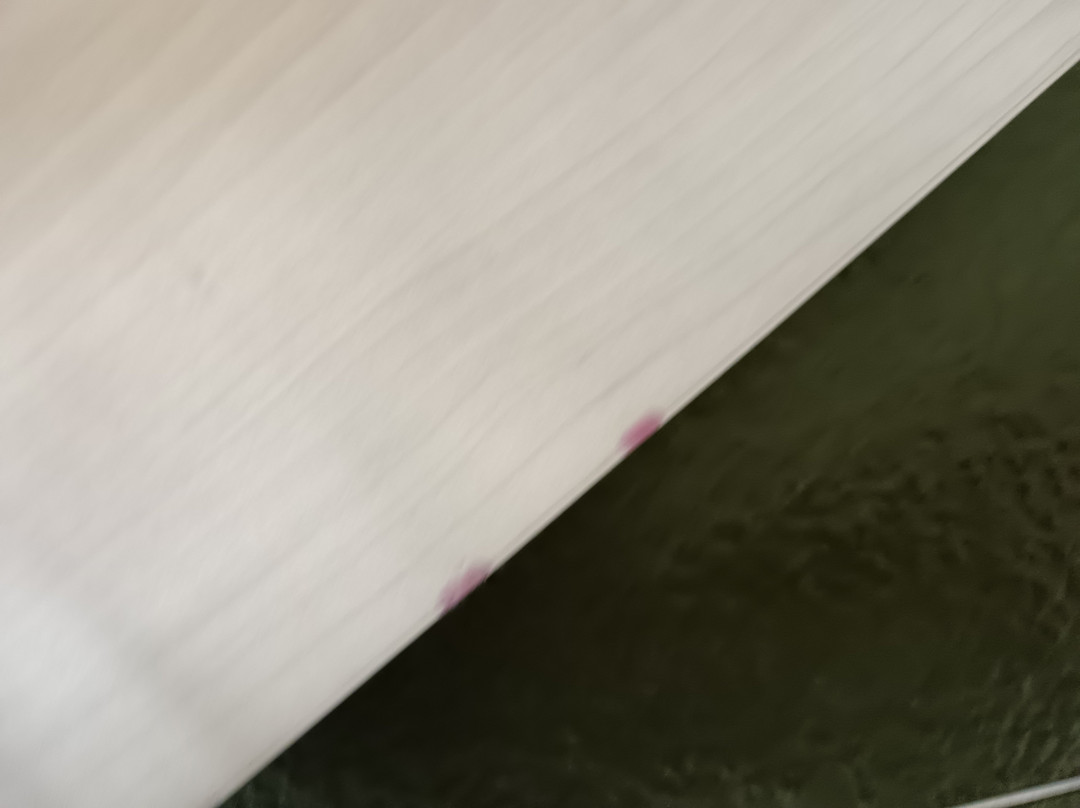 南奥尔良奥利维特普瑞米尔经典酒店