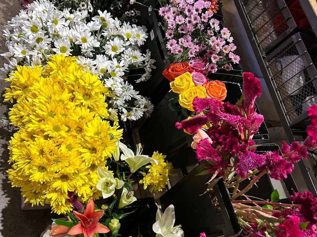 MUT - Mercado Urbano Tobalaba-Las Condes必去景点