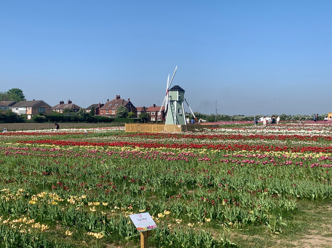 Farmer Copleys景点图片