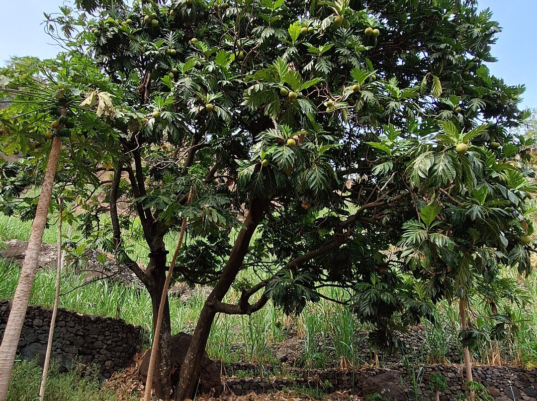 Paul Tal-Santo Antao必去景点