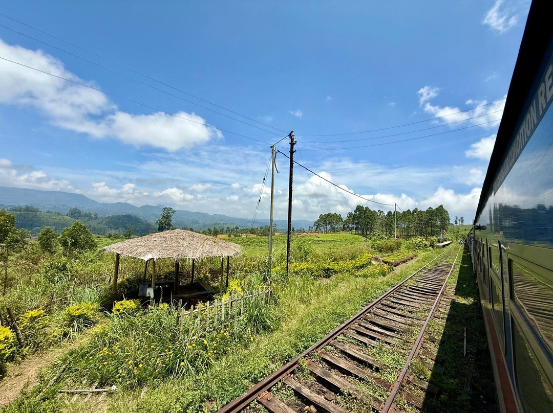 The Ella Odyssey Train-康提必去景点