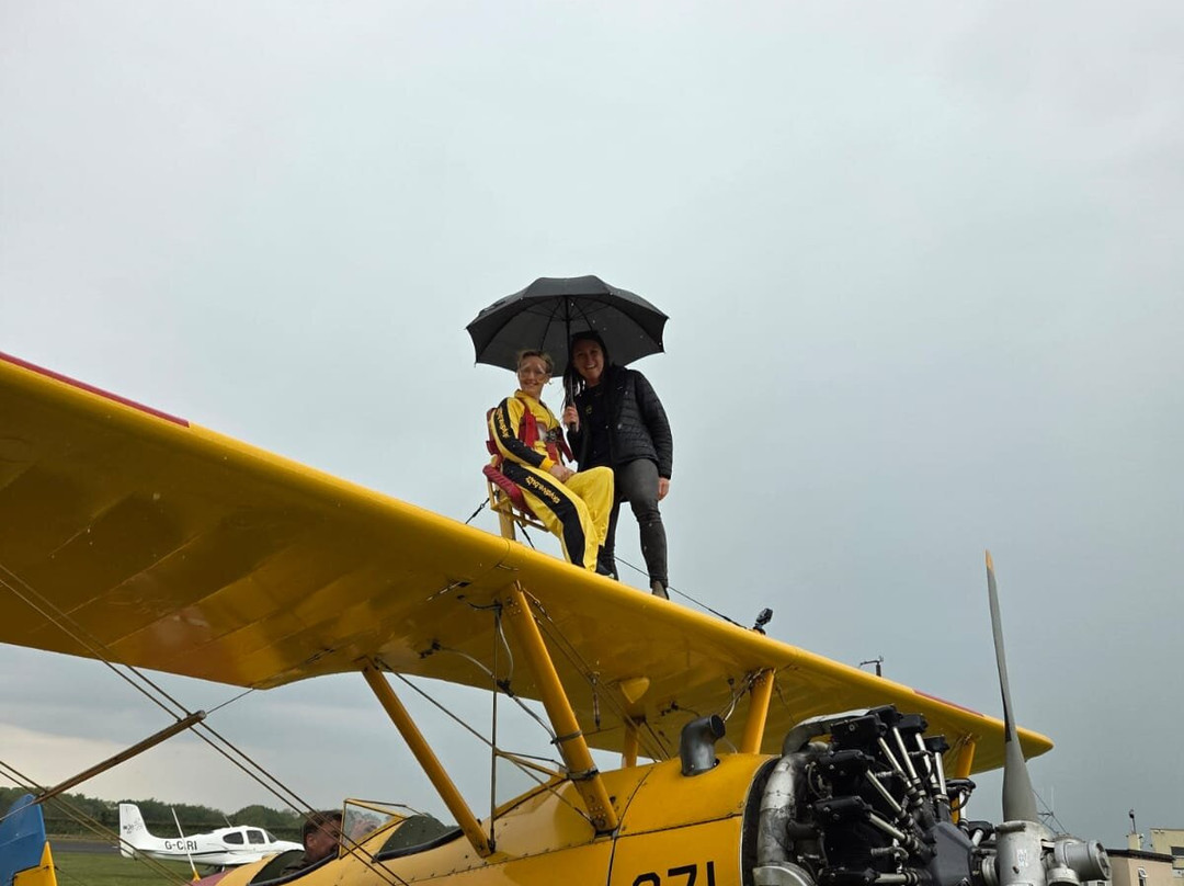 Wingwalk Buzz-Dunkeswell必去景点