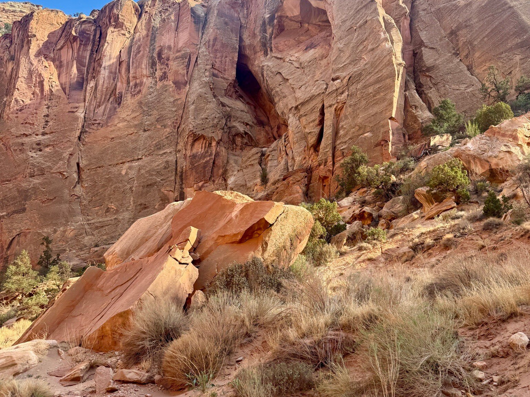 Days Inn by Wyndham Torrey Capital Reef主图