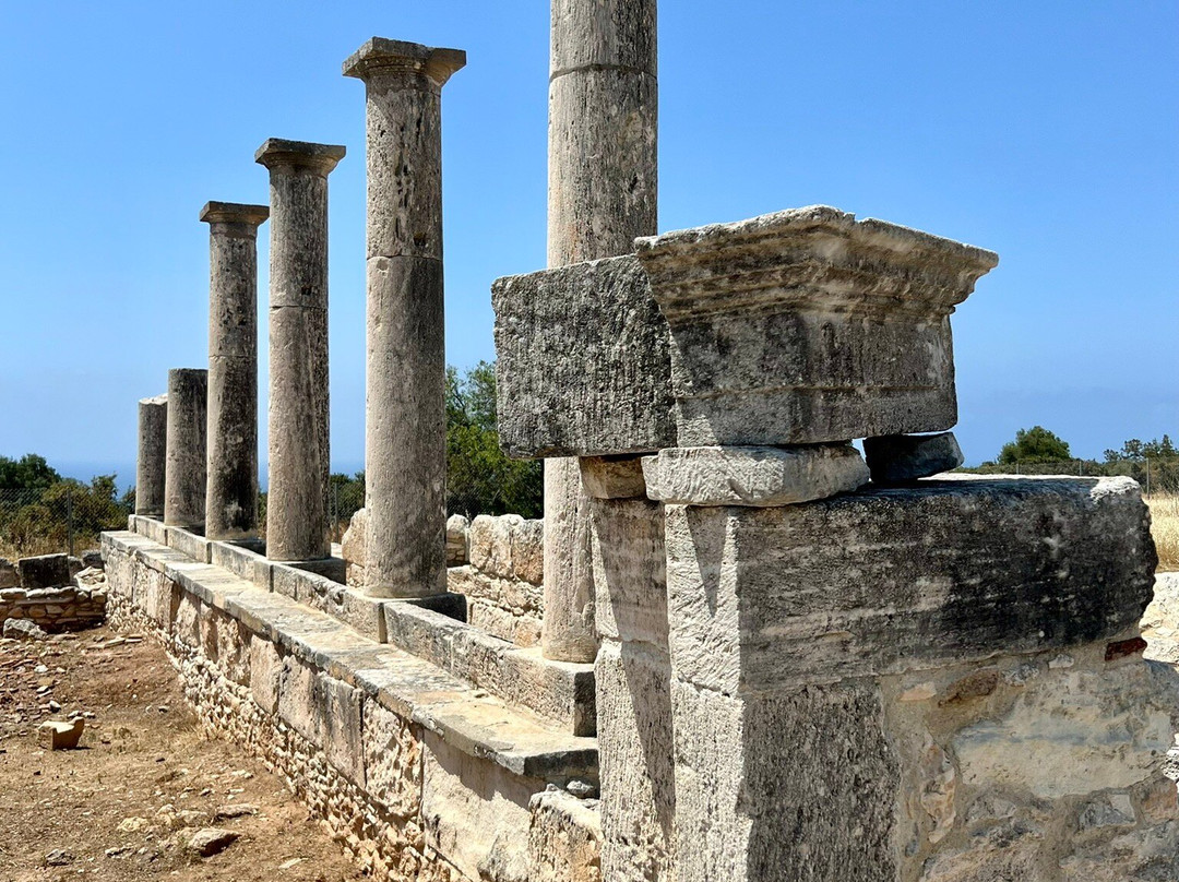 The Sanctuary Of Apollo-Episkopi必去景点